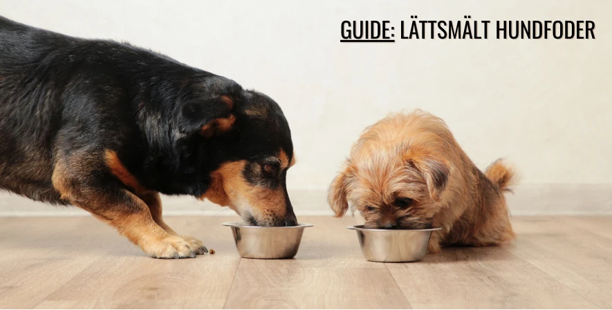 Två hundar äter lättsmält hundmat ur varsin hundskål